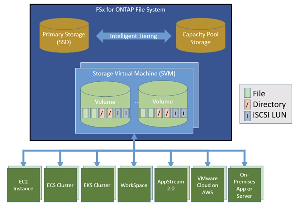 NetApp FSx for ONTAP graphic