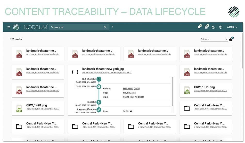 Nodeum search dashboard