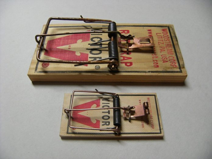 Rat trap and mouse trap