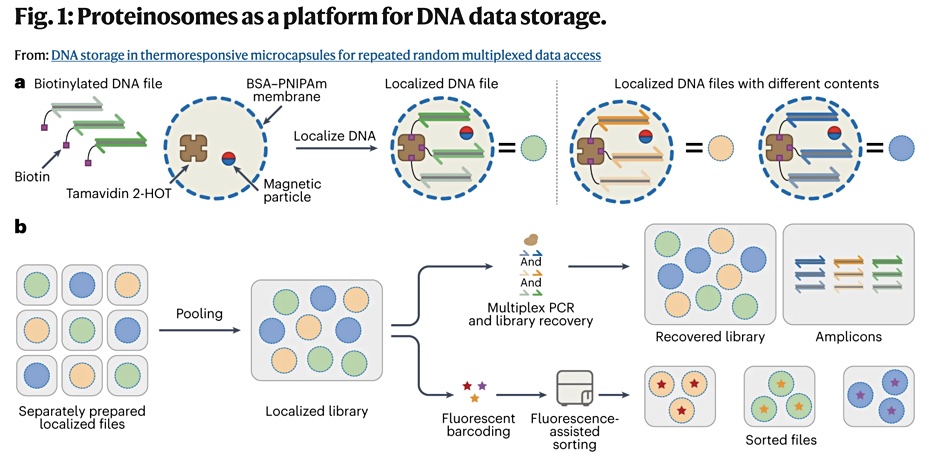 DNA data storage