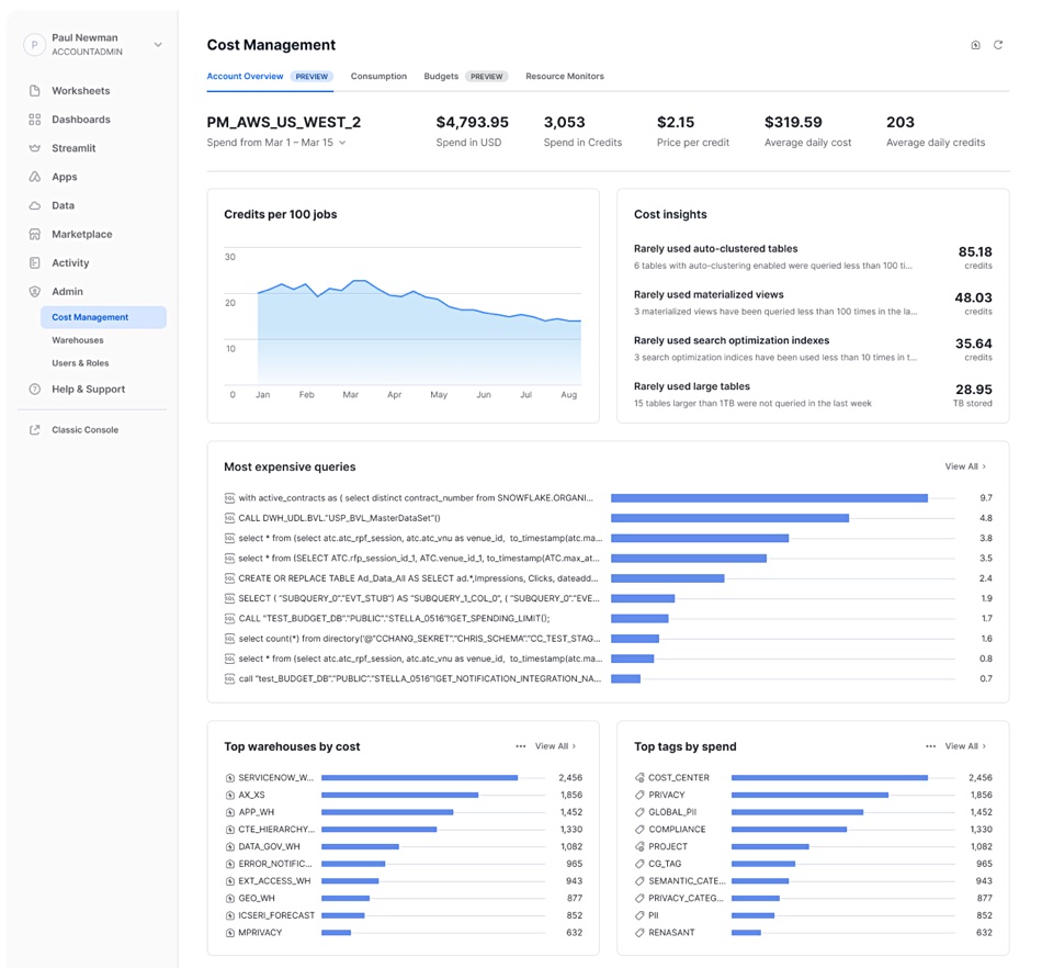 Snowflake cost management