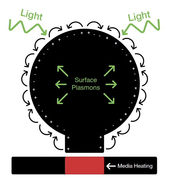 Plasmonic effect in Seagate's quantum antenna