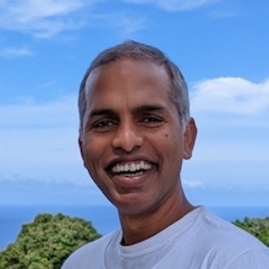 Vishnu Vardhan, NetApp