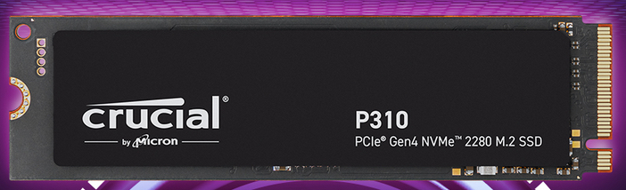 Micron Crucial P310