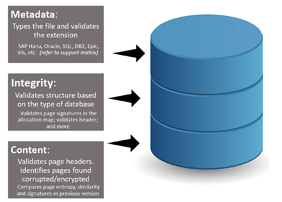 Index Engines CyberSense graphic