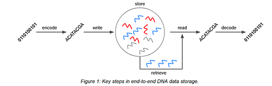 DNA storage diagram